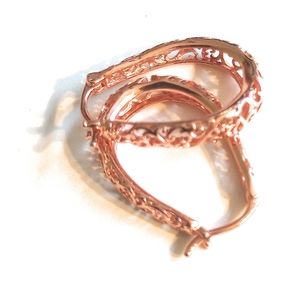 Bisaer Women's Cooper Pierced Earrings 1" x 1/2" NWT BSE466-C